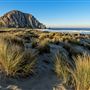 Morro Strand State Beach (SB)