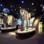 Wester Science Center