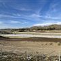 Lake Elsinore Raceway