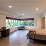 Vintage Hollywood Vibes – Secluded Palm-Lined Mid-Century Pool Oasis Wrapped In Lush Greenery – A Filmmaker’s Dream!