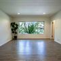 Vintage Hollywood Vibes – Secluded Palm-Lined Mid-Century Pool Oasis Wrapped In Lush Greenery – A Filmmaker’s Dream!