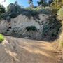 Boy Scout Trail - Griffith Park