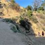 Boy Scout Trail - Griffith Park