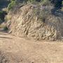 Boy Scout Trail - Griffith Park