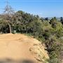 Boy Scout Trail - Griffith Park