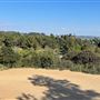 Boy Scout Trail - Griffith Park