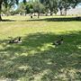 Santa Fe Dam Recreational Area