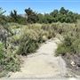 Santa Fe Dam Recreational Area
