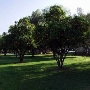 Los Encinos State Historic Park (SHP) adjacent to currently closed Lakeside Restaurant & Lounge