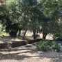 Peter Strauss Ranch - National Park Service (NPS)