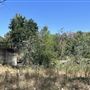 Peter Strauss Ranch - National Park Service (NPS)