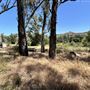Peter Strauss Ranch - National Park Service (NPS)