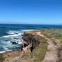 Montana de Oro State Park (SP)