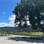 Santa Margarita Ranch