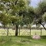 Stockdale Ranch