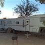 Desert Backyard