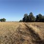 11071 Walmort Rd