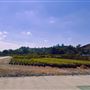 Brackett Field Airport