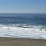 Nicholas Canyon Beach - County / FilmLA