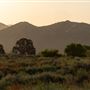 Hungry Valley State Vehicle Recreation Area (SVRA)