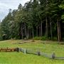 Prairie Creek Redwoods State Park (SP) within the Redwood National and State Parks