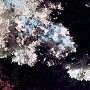 Mercer Caverns