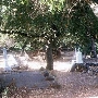 Mountain Cemetery