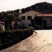 Avalon School