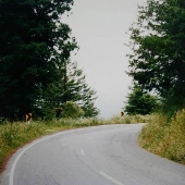 Freshwater Road