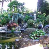 Japanese Tea Garden - San Mateo Central Park & Recreation Center