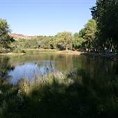 White Rock Lake