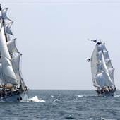 Los Angeles Maritime Institute (Irving Johnson/ Exy Johnson/ American Pride/ Swift of Ipswich)