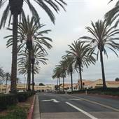 Ocean View Plaza - Brixmor Property Group