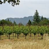 Bothe-Napa Valley State Park (SP)