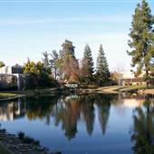 California State University, Stanislaus