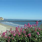 Avila Beach