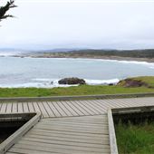 Boardwalk at Laguna Point @ MacKerricher State Park (SP)