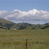 J G Angus Ranch