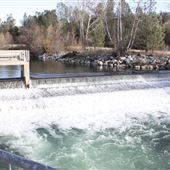 Coleman National Fish Hatchery