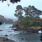 Buckhorn Cove
