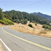 Mountain View Road