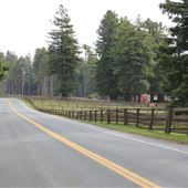 Simpson Lane - Rural County Road