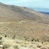 9 Mile Canyon Road