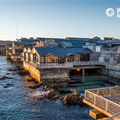 Monterey Bay Aquarium