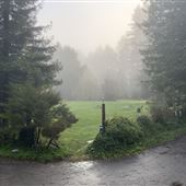 Camp Russian River