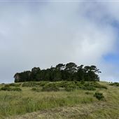 Rosko Ranch