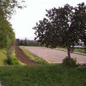 Peck Farm
