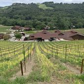 Halter Ranch Vineyard Estate