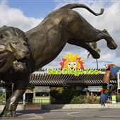 San Diego Zoo