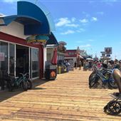 Blazing Saddles Beach Rentals & Tours